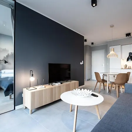Apartment Lights Rakowicka 15 *